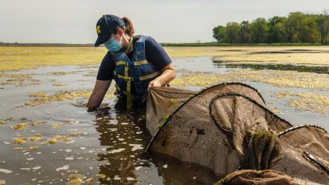 SEAS Research Support - 322398