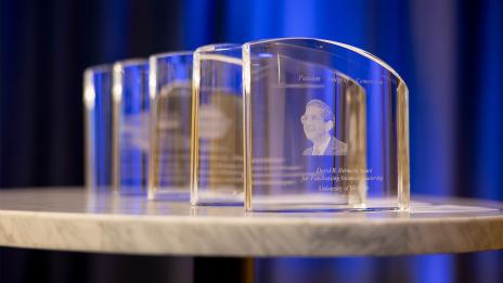 A row of Hermelin Awards sitting on a granite table top.