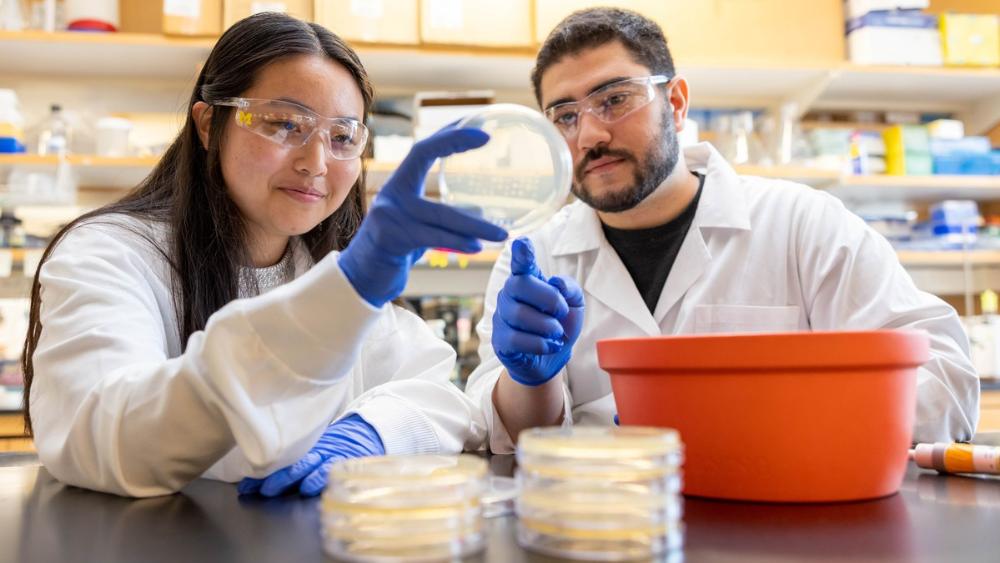 A female medical professional and a male medical professional looking at a petri dish in a laboratory
