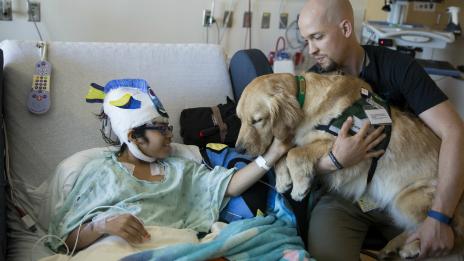A young hospital patient interacts with a hospital dog as part of the animal therapy program