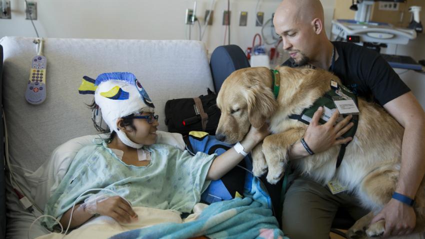 A young hospital patient interacts with a hospital dog as part of the animal therapy program