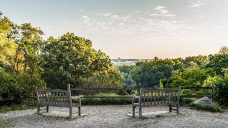 Two benches looking over arboretum. 