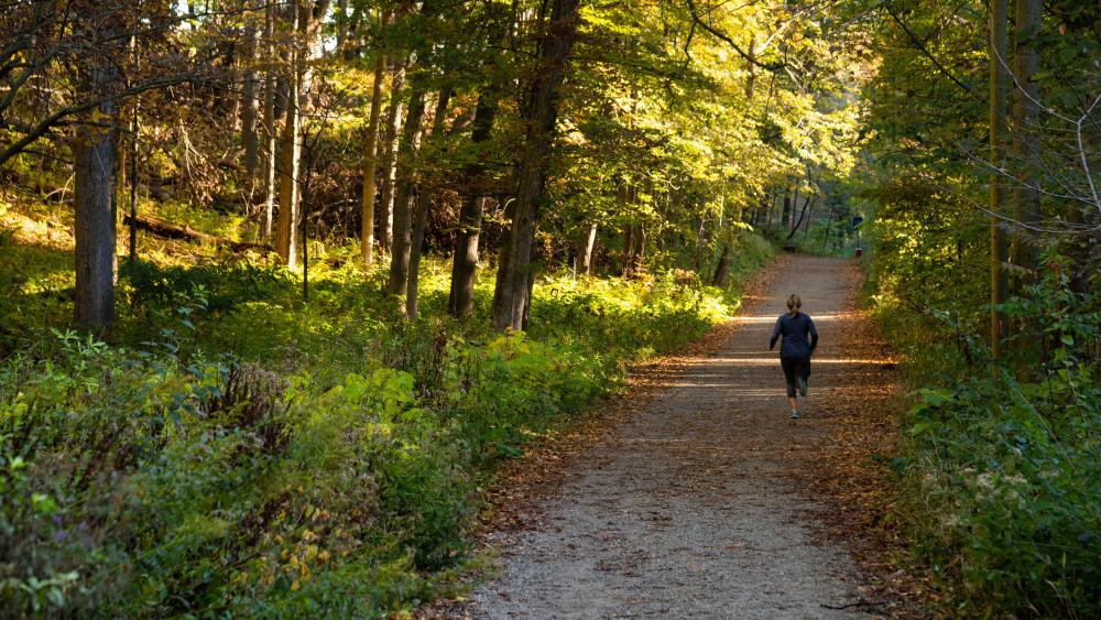 individual walking on trail during the fall