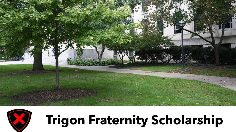 A tree in front of Angell Hall with the words 