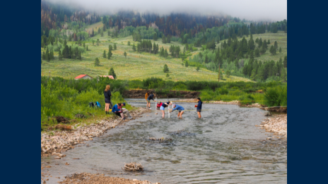 Students standing in a river and sitting on the banks with rolling hills and pine trees in the background