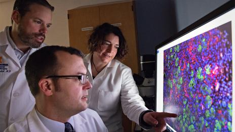 Three people in lab coats examining cells on a computer screen.