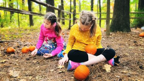 Two girls sit on the forest floor surrounded by pumpkins.